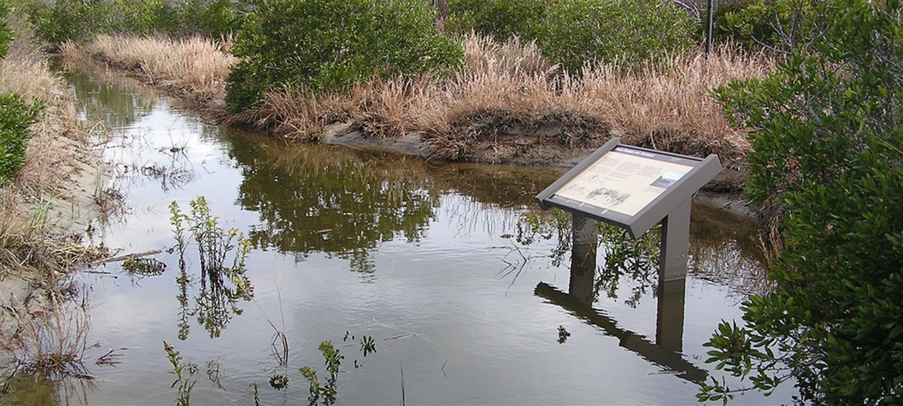Refugio Nacional de Vida Silvestre Cape May